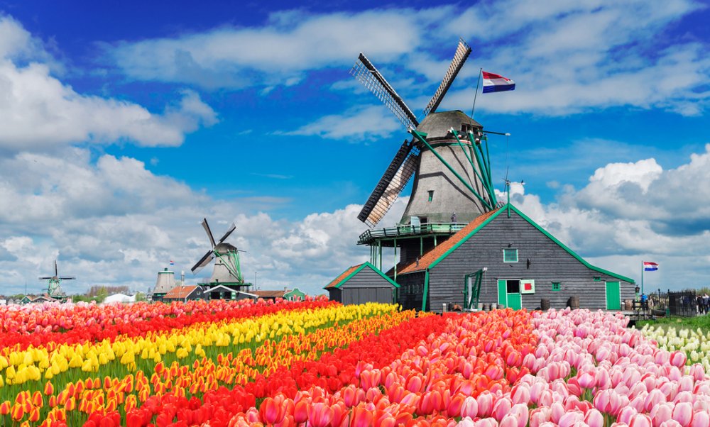 Eurovision 2020: Dutch media report provisional dates of the contest